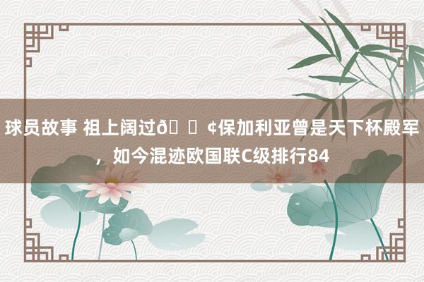 球员故事 祖上阔过😢保加利亚曾是天下杯殿军，如今混迹欧国联C