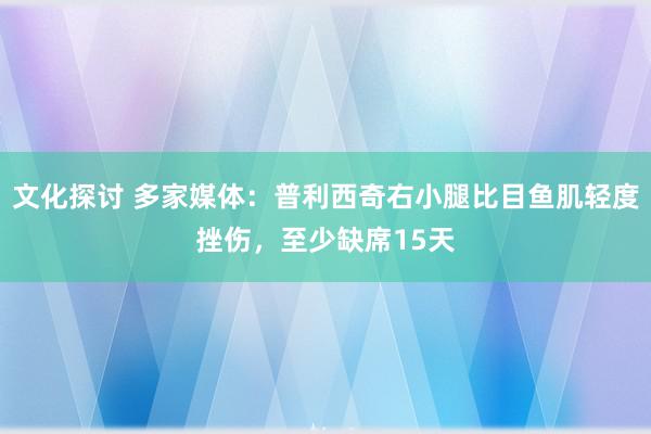 文化探讨 多家媒体：普利西奇右小腿比目鱼肌轻度挫伤，至少缺席15天